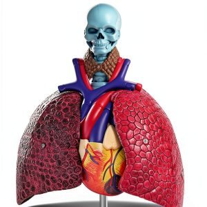 Respiratory Therapy Workbook Edition by HealthPro 458 Page Guide-0